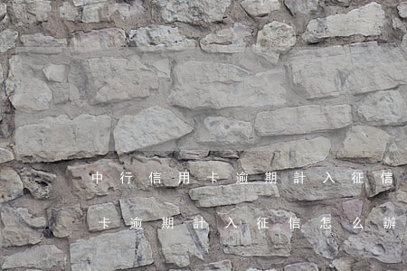 中行信用卡逾期計入征信怎么辦-中行信用卡逾期計入征信怎么辦理