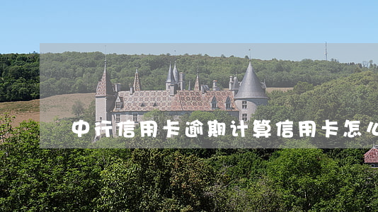中行信用卡逾期计算(信用卡怎么算逾期)