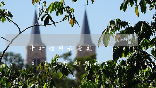中行信用卡逾期費(fèi)率(中國(guó)銀行逾期利息費(fèi)率多少)