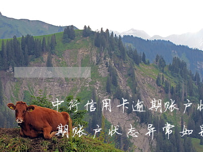 中行信用卡逾期账户状态异常 中行信用卡逾期账户状态异常如果申请个性分期