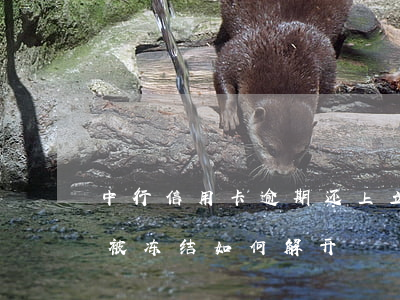 中行信用卡逾期还上立即解冻(逾期后信用卡被冻结如何解开?)