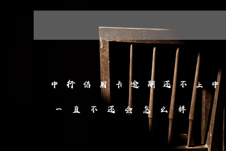 中行信用卡逾期还不上(中信银行信用卡逾期一直不还会怎么样)