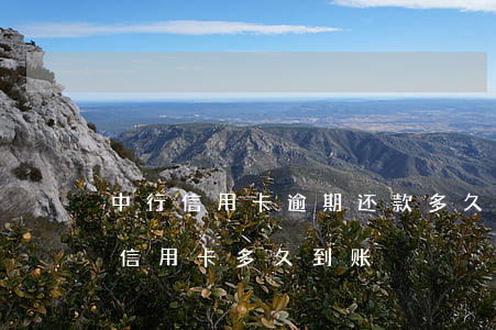 中行信用卡逾期还款多久入账-银行卡还款信用卡多久到账