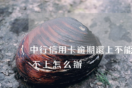 中行信用卡逾期還上不能用(信用卡逾期了還不上怎么辦)