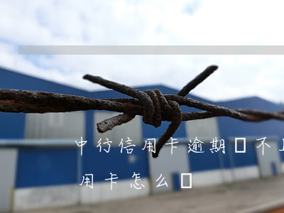 中行信用卡逾期還不上怎么辦(還不上中信信用卡怎么辦)