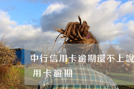 中行信用卡逾期還不上說要立案(中國銀行 信用卡 逾期)