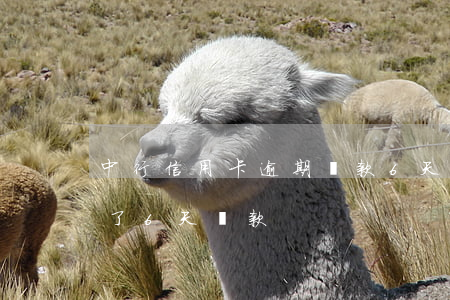 中行信用卡逾期還款6天(中國銀行信用卡晚了6天還款)