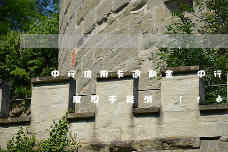 中行信用卡逾期金額(中行卡逾期了,還款后有額度但不能消費(fèi))
