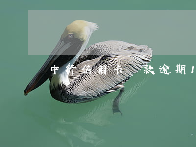 中行信用卡還款逾期10天后果
