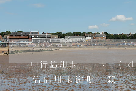 中行信用卡還錯卡導(dǎo)致逾期-中信信用卡逾期還款