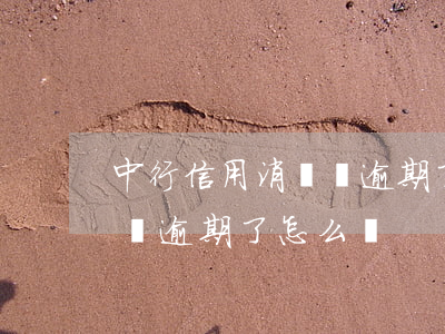 中行信用消費貸逾期了怎么辦（中行信用消費貸逾期了怎么辦）