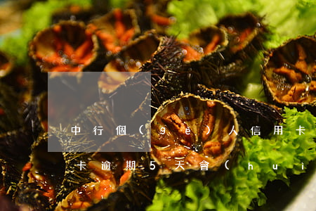 中行個(gè)人信用卡逾期5天(中行信用卡逾期5天會(huì)上征信)