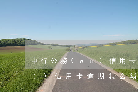 中行公務(wù)信用卡逾期一周(公務(wù)信用卡逾期怎么辦)
