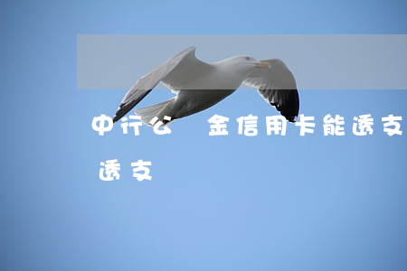 中行公積金信用卡能透支嗎(中信借記卡可以透支嗎)