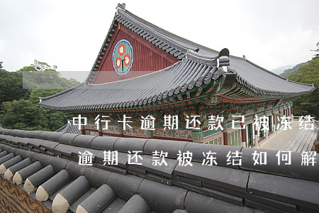 中行卡逾期还款已被冻结(中信银行信用卡因逾期还款被冻结如何解封)