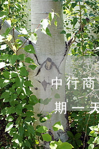 中行商業(yè)貸款逾期一天(銀行貸款逾期一天)