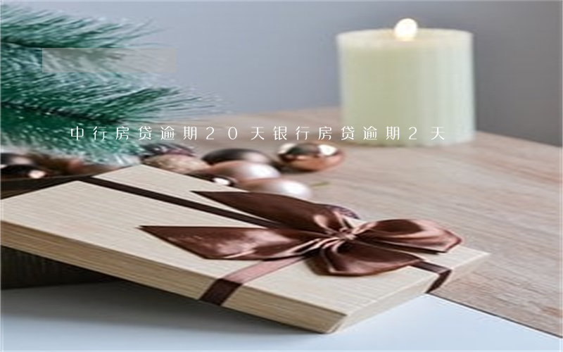 中行房贷逾期20天(银行房贷逾期2天)