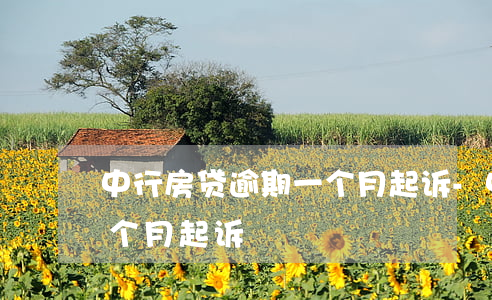 中行房贷逾期一个月起诉-中行房贷逾期一个月起诉