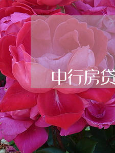 中行房贷逾期被起诉罚息(中国银行房贷罚息)