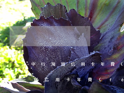 中行淘寶信用卡年費(fèi)逾期(中行淘寶信用卡年費(fèi)逾期一天)