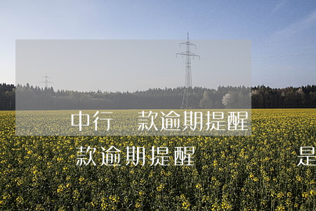 中行貸款逾期提醒電話號碼是多少-中行貸款逾期提醒電話號碼是多少號