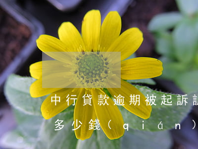 中行貸款逾期被起訴,訴訟費(fèi)大約多少錢(qián)-中行貸款逾期被起訴,訴訟費(fèi)大約多少錢(qián)