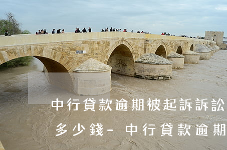 中行貸款逾期被起訴,訴訟費(fèi)大約多少錢-中行貸款逾期被起訴,訴訟費(fèi)大約多少錢