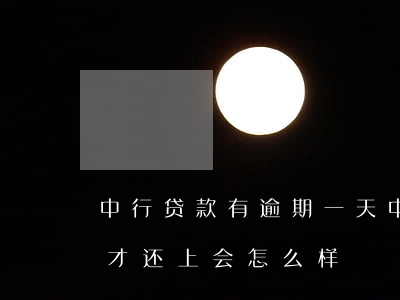 中行贷款有逾期一天(中国银行房贷逾期两天才还上会怎么样)