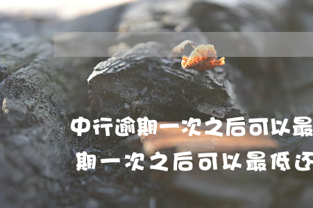 中行逾期一次之后可以最低还款吗-中行逾期一次之后可以最低还款吗多久