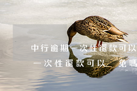 中行逾期一次性還款可以減免嗎-中行逾期一次性還款可以減免嗎現(xiàn)在