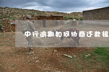 中行逾期如何协商还款(银行协商还款)