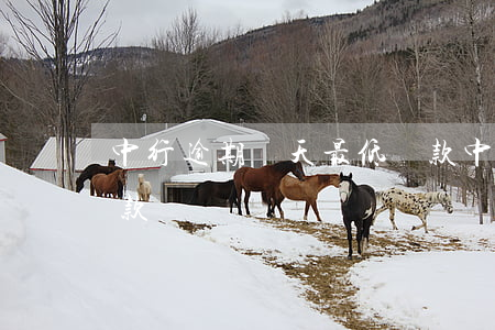 中行逾期幾天最低還款(中行逾期幾天最低還款)