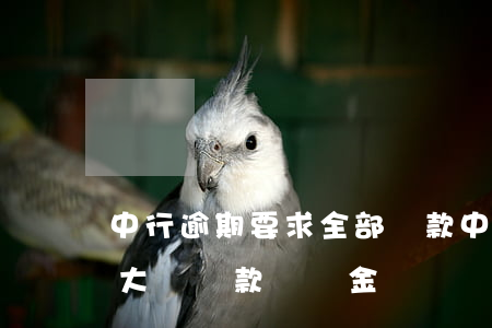 中行逾期要求全部還款(中國(guó)銀行大額還款違約金)