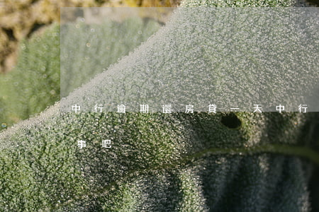 中行逾期還房貸一天(中行逾期還房貸一天沒事吧)