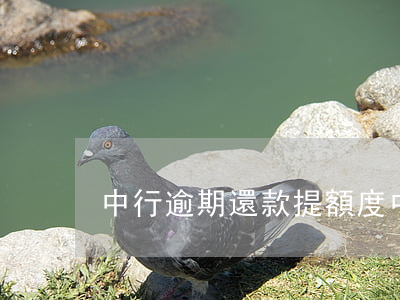 中行逾期還款提額度(中行提前還款)