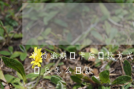 中行逾期銷卡后還款方式(中國銀行信用卡核銷后怎么還款)