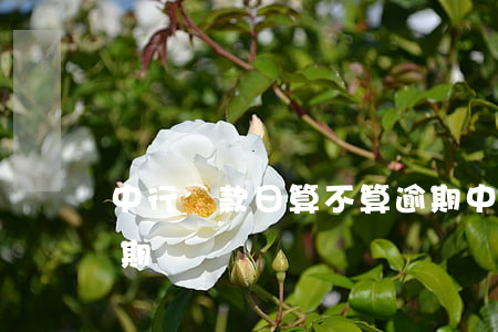 中行還款日算不算逾期(中行還款日算不算逾期)