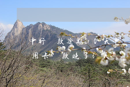 中行還款逾期10天(中國(guó)銀行信用卡還款晚了5天)