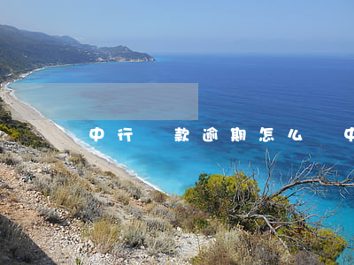 中行還款逾期怎么辦(中行還款逾期怎么辦)