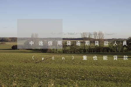 中途信用貸逾期(貸款人員告訴你征信逾期嚴(yán)重也能貸款成功是否可信?)