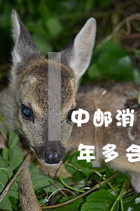 中邮消费逾期起诉征信(中邮消费金融逾期两年多会不会被起诉)