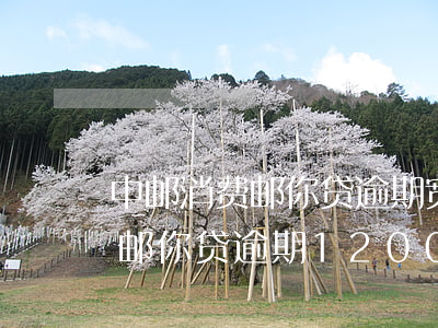 中邮消费邮你贷逾期宽限期几天-中邮消费邮你贷逾期12000会起诉我吗