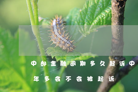 中邮金融逾期多久起诉(中邮消费金融逾期两年多会不会被起诉)