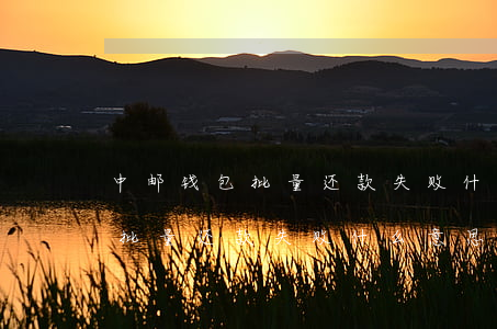 中邮钱包批量还款失败什么意思-中邮钱包批量还款失败什么意思啊