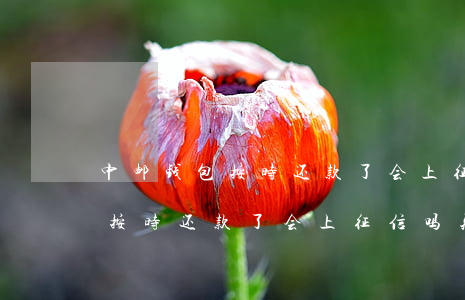 中邮钱包按时还款了会上征信吗-中邮钱包按时还款了会上征信吗知乎