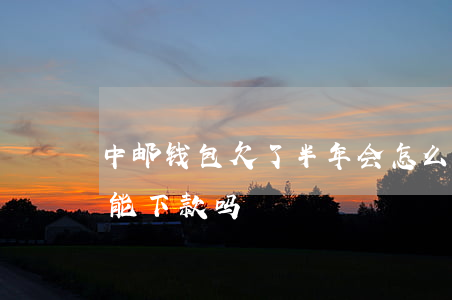 中邮钱包欠了半年会怎么样(中邮钱包现在还能下款吗)