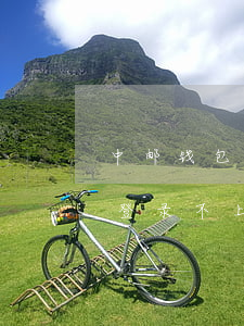中邮钱包登录不上导致还款失败-中邮钱包登录不上导致还款失败怎么办