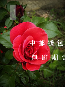 中邮钱包逾期会影响邮政信用卡吗-中邮钱包逾期会影响邮政信用卡吗