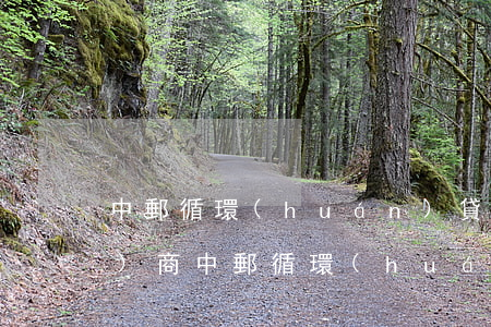 中郵循環(huán)貸款逾期協(xié)商(中郵循環(huán)貸綜合評(píng)估未通過)