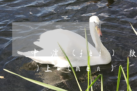 中郵消費(fèi)貸款逾期了會(huì)上門(mén)嗎